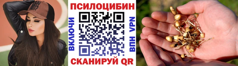 Псилоцибиновые грибы Cubensis  Воркута 