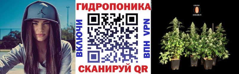 Конопля план  где купить наркоту  Воркута 